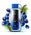VOZOL STAR 20000